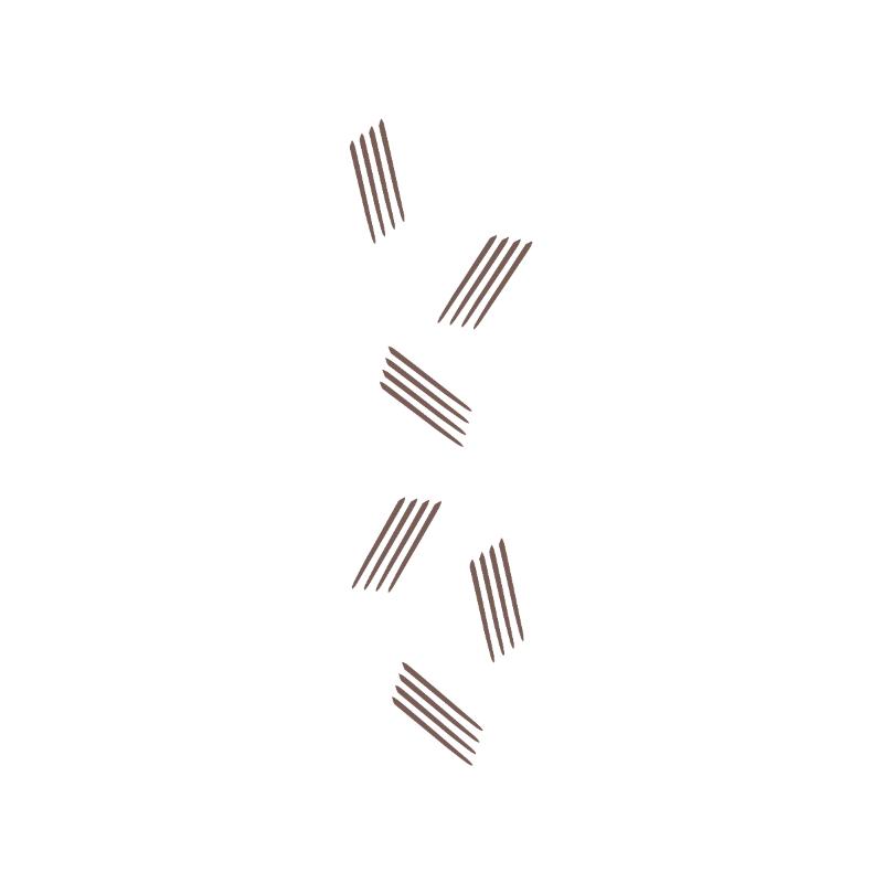 20013677-2