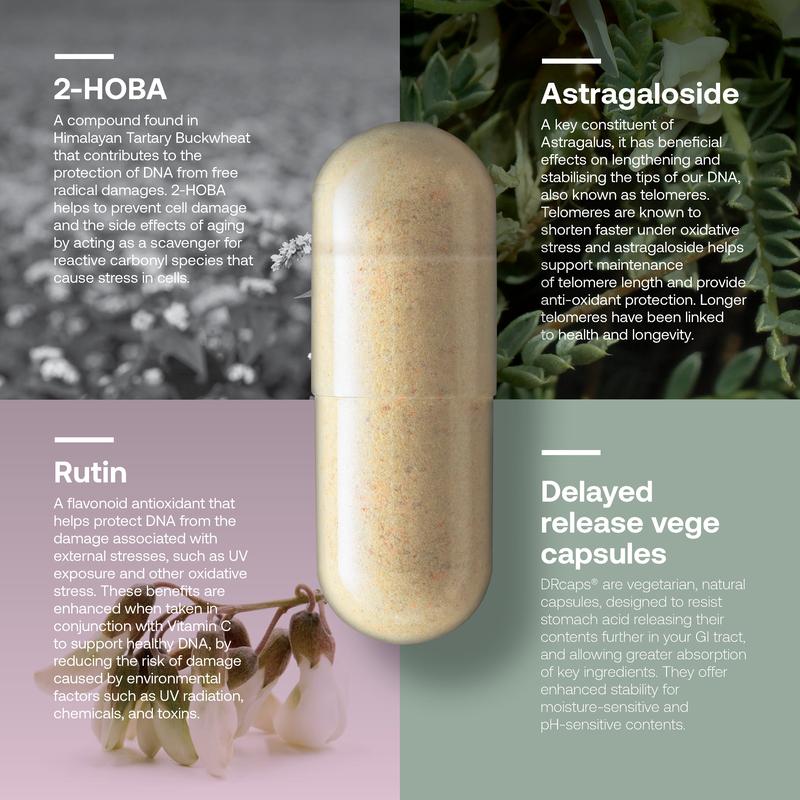 SRW Cir1 Circulatory System Flow Vege Capsules 60s
