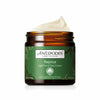 Antipodes Rejoice Light Facial Day Cream Pot 60ml