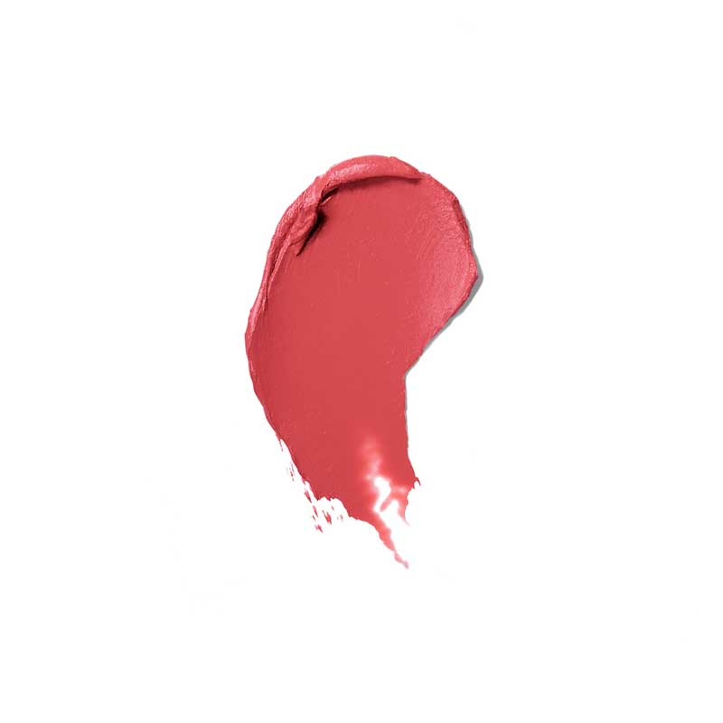 Estée Lauder Pure Color Envy Matte Lipstick 2020 Rebellious Rose 3.5g