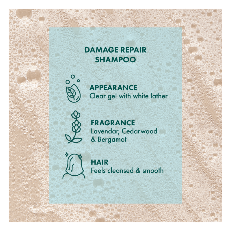 A'kin A'kin Damage Repair Shampoo 375ml 20026210