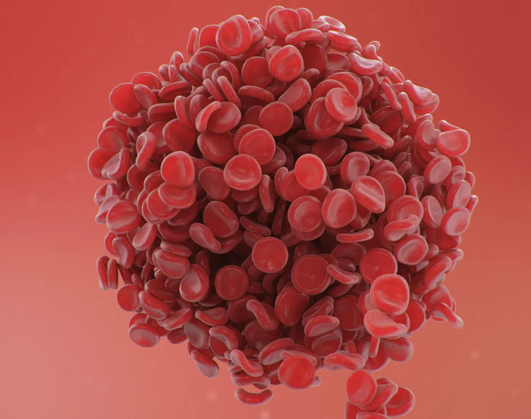 INR blood test