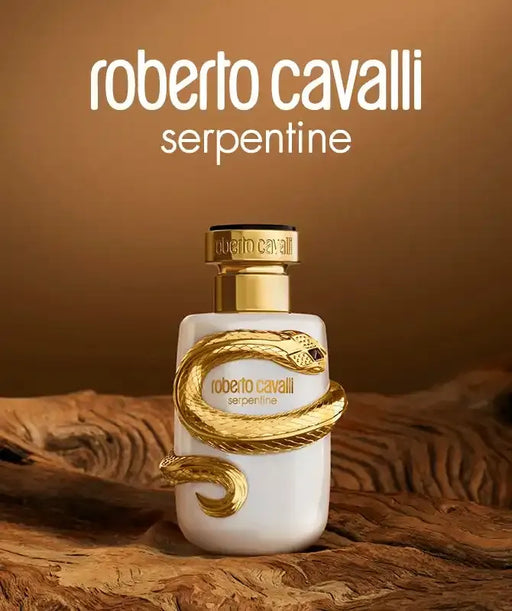 56813_Brand_Page_Category_Tile_Mobile_RC_Serpentine_01_670x800px