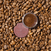 Burt's Bees Conditioning Lip Scrub Mocha 7.03g