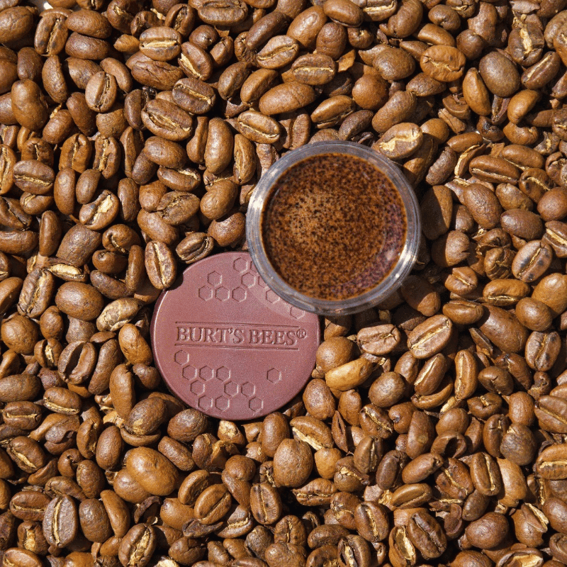 Burt's Bees Conditioning Lip Scrub Mocha 7.03g