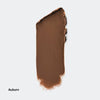 Clinique Fill in the Blanks Brow Powder Pomade Auburn 5.8g