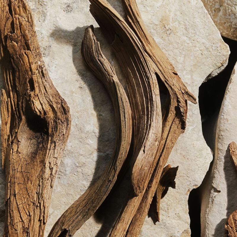 Dolce & Gabbana Light Blue EDT 50ml