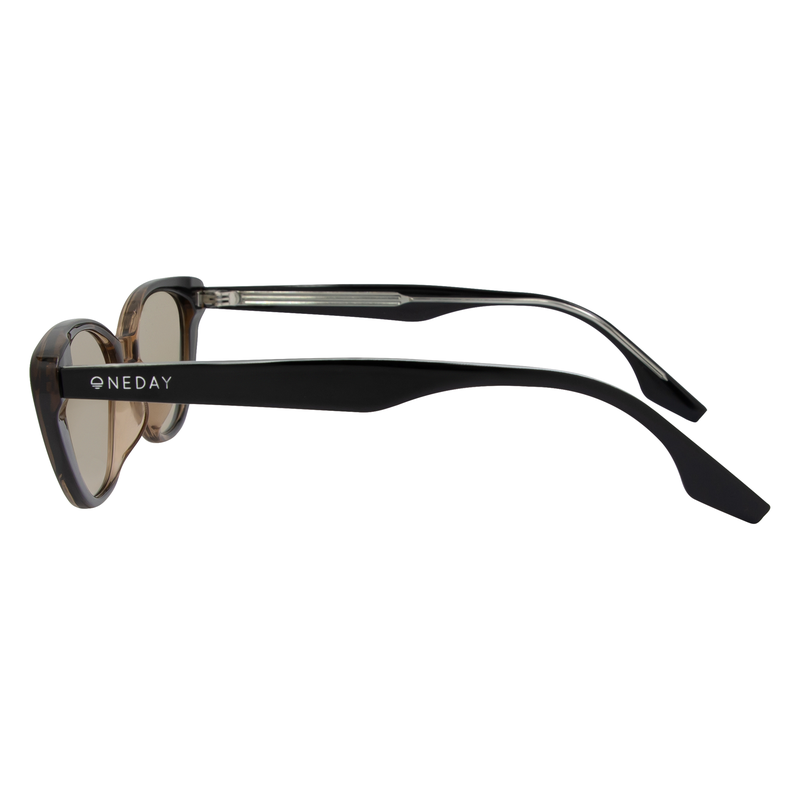 OneDay Celine Sunglasses Black to Brown Brown