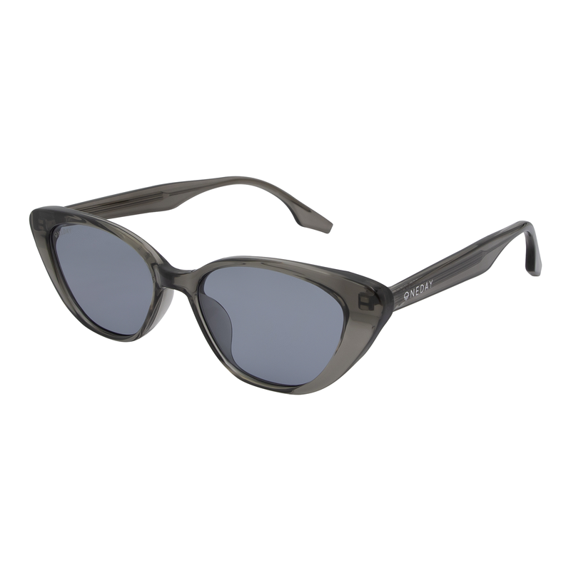 OneDay Celine Sunglasses Charcoal Smoke