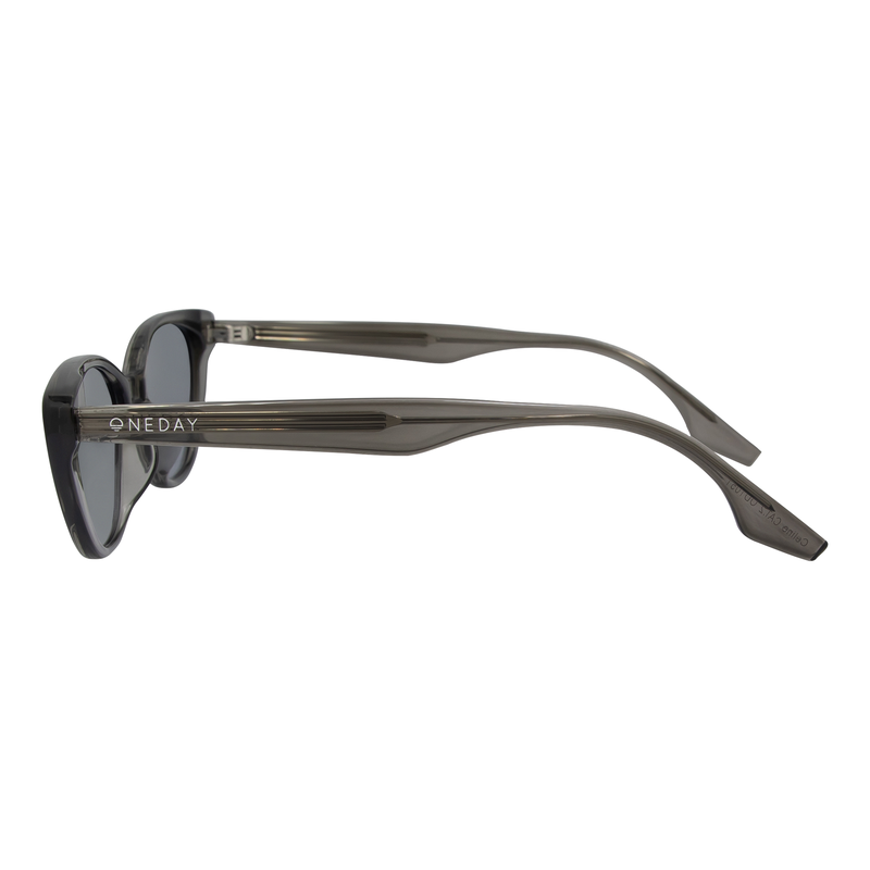 OneDay Celine Sunglasses Charcoal Smoke