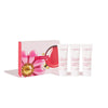 Clarins Heavenly Hands Holiday Collection 3pcs