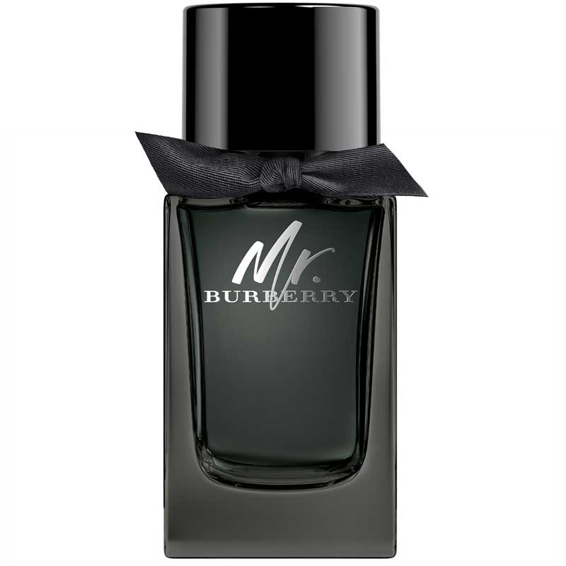 Burberry Mr Burberry EDP 100ml
