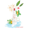 Issey Miyake L'Eau D'Issey Summer EDT 100ml