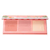 Benefit Benefit Cheek Party Package Palette 20018713